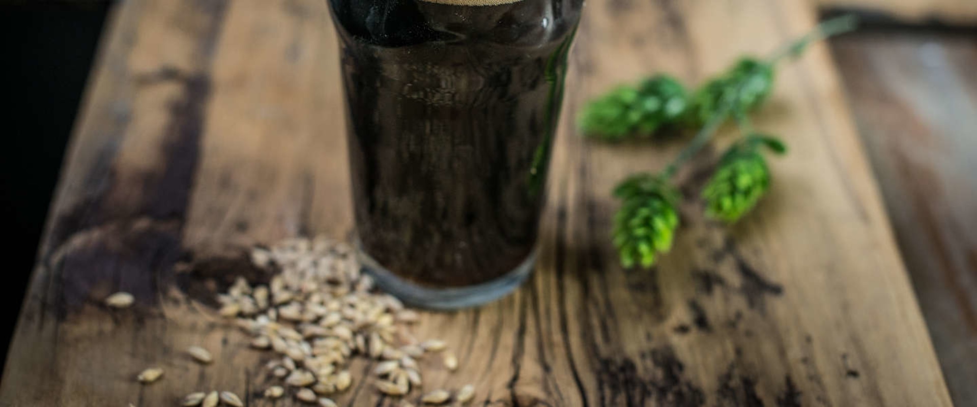 Stout: The Ultimate Guide to Home Brewing