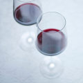 All About Merlot: A Comprehensive Guide to Home Vinting and Red Wine Recipes