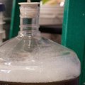 Understanding Secondary Fermentation for Home Brewers and Vintners