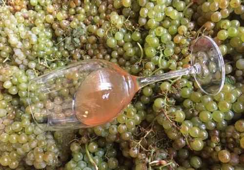 The Power of Fruit Extracts in Home Brewing and Winemaking